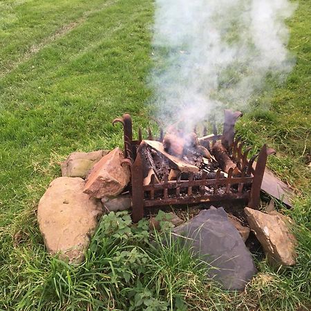 Rivendell Glamping Pods Hotel Holsworthy Bagian luar foto